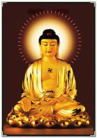 Luận giảng Phật A Di Đà